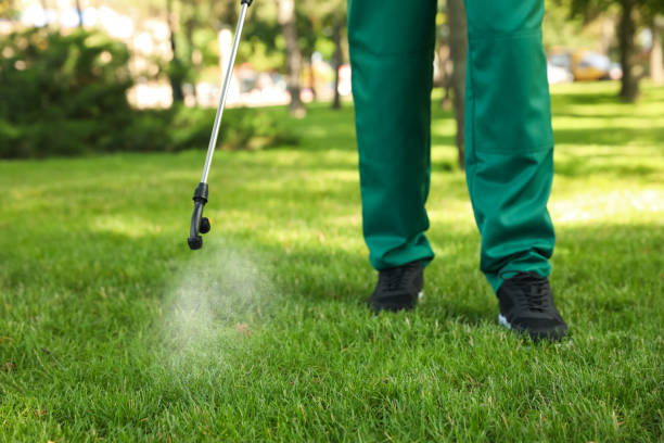 Best Mosquito Control Services  in Rainbow Lakes Estates, FL