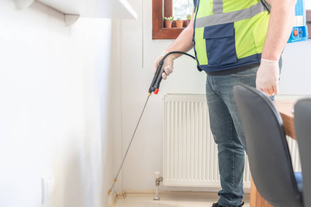 Best Affordable Pest Control Services  in Rainbow Lakes Estates, FL